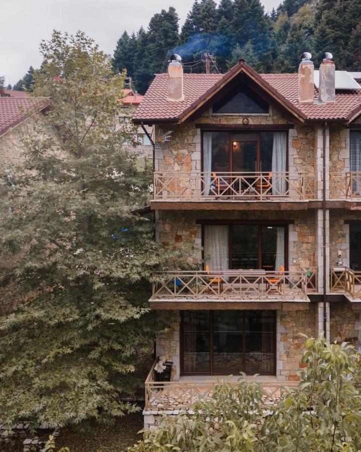 Parnassus Dreamwood Chalet Eptálofos Exterior foto